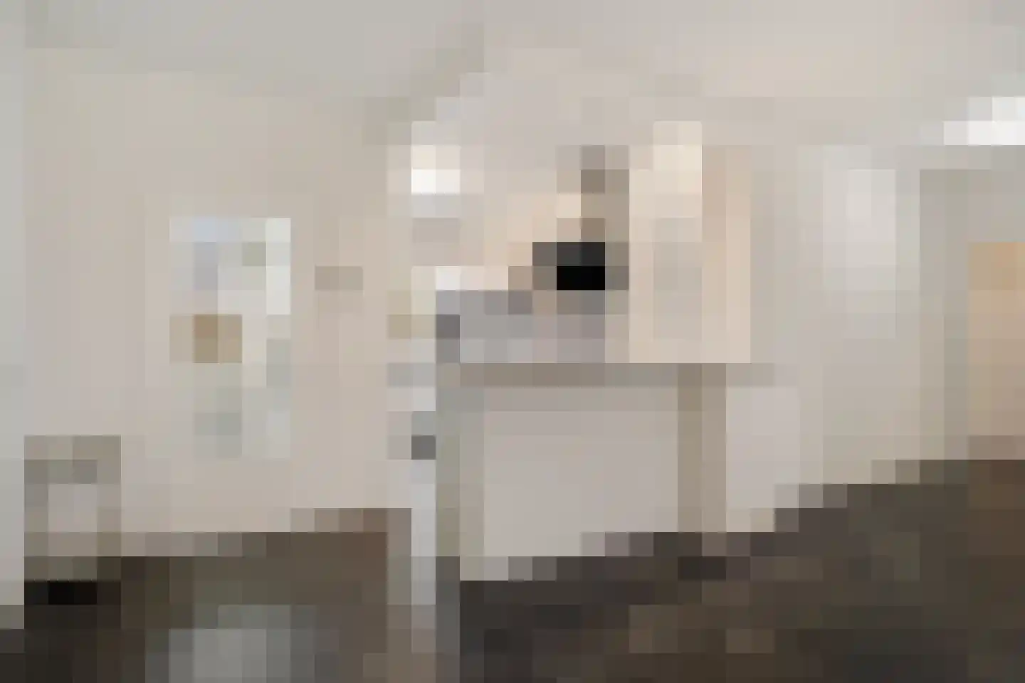 Valeriusrondeel 10 Capelle aan den IJssel thumbnail 18