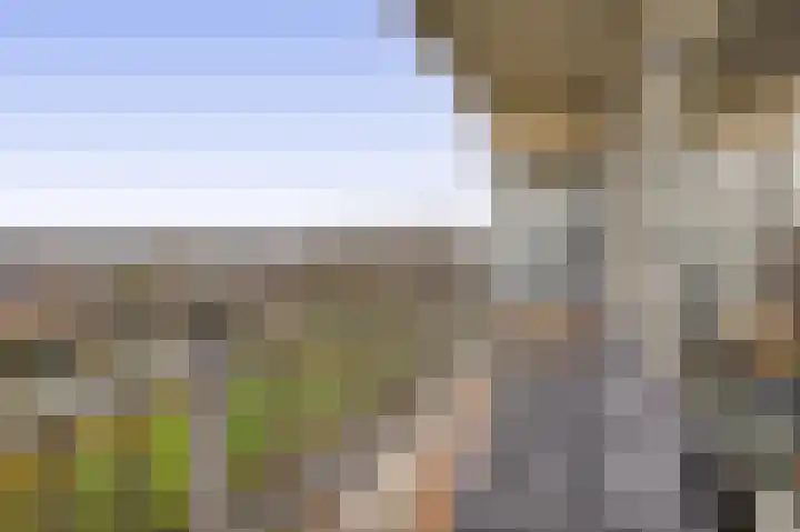 Valeriusrondeel 111 Capelle aan den IJssel thumbnail 21