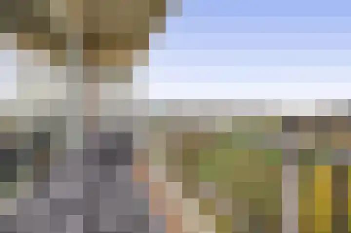 Valeriusrondeel 111 Capelle aan den IJssel thumbnail 22