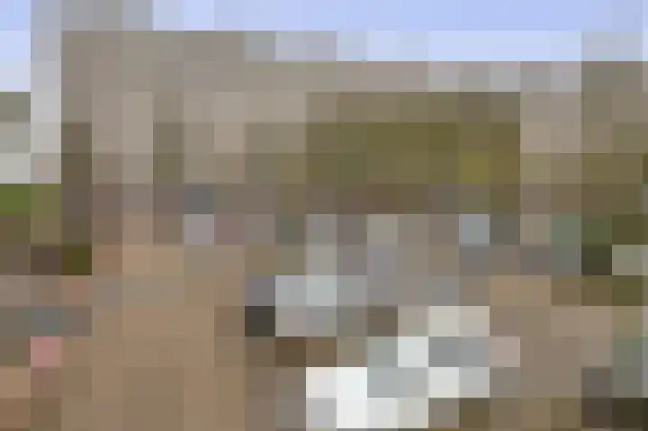 Valeriusrondeel 111 Capelle aan den IJssel thumbnail 30