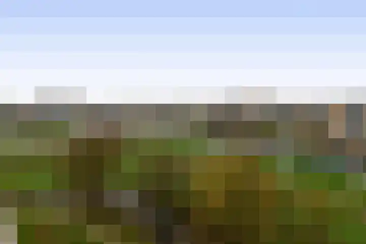 Valeriusrondeel 111 Capelle aan den IJssel thumbnail 35