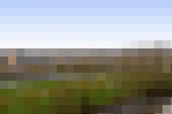 Valeriusrondeel 111 Capelle aan den IJssel thumbnail 36
