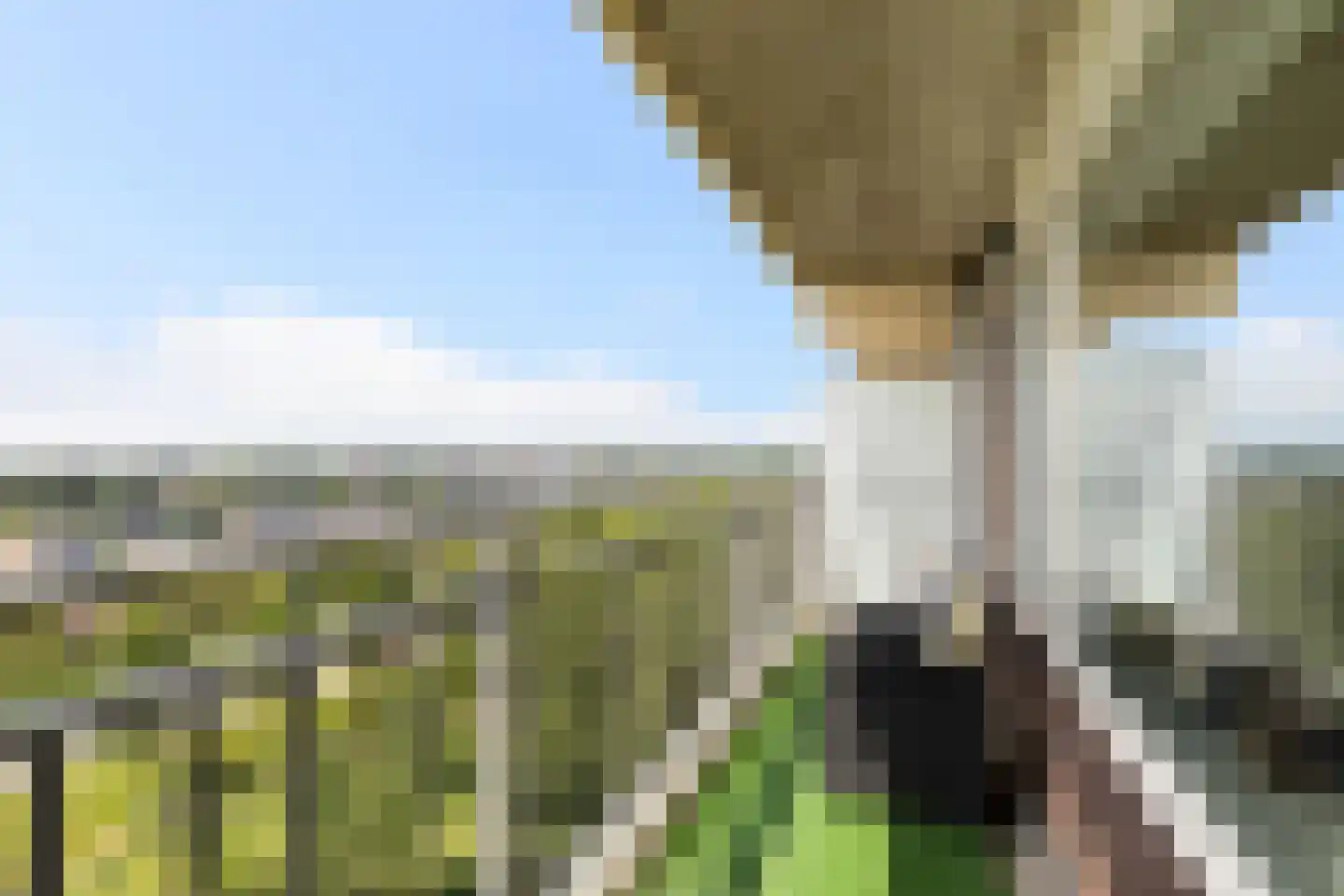 Valeriusrondeel 117 Capelle aan den IJssel thumbnail 16