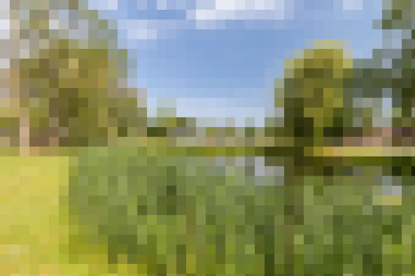Valeriusrondeel 117 Capelle aan den IJssel thumbnail 24