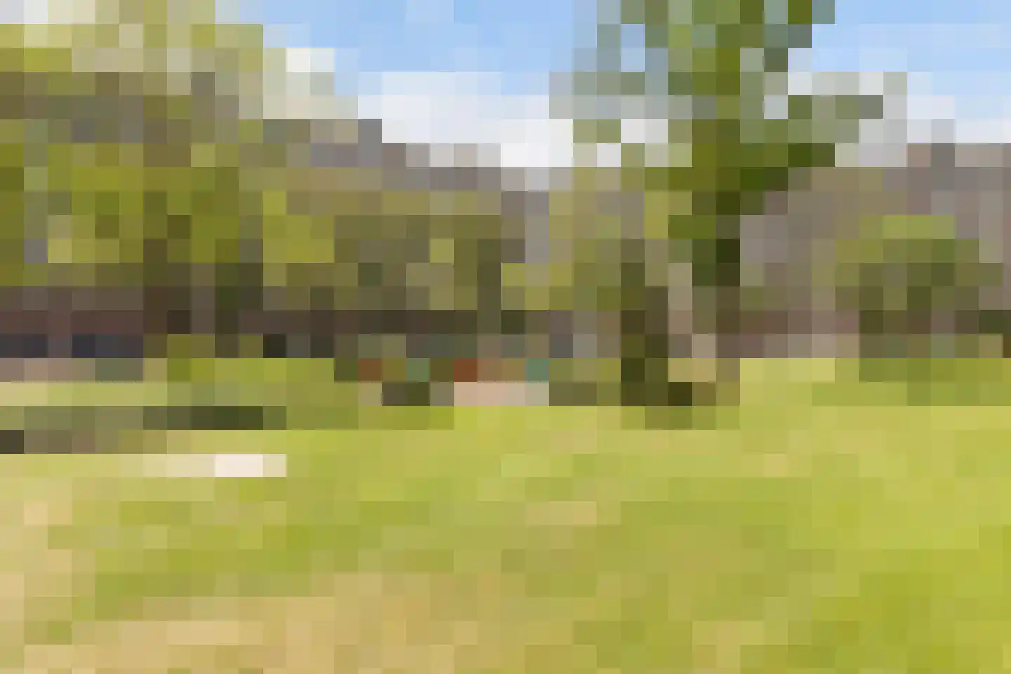 Valeriusrondeel 117 Capelle aan den IJssel thumbnail 27