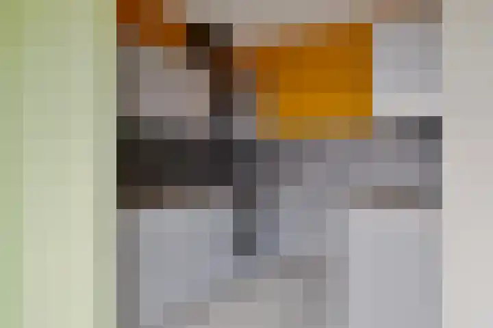 Valeriusrondeel 143 Capelle aan den IJssel thumbnail 11
