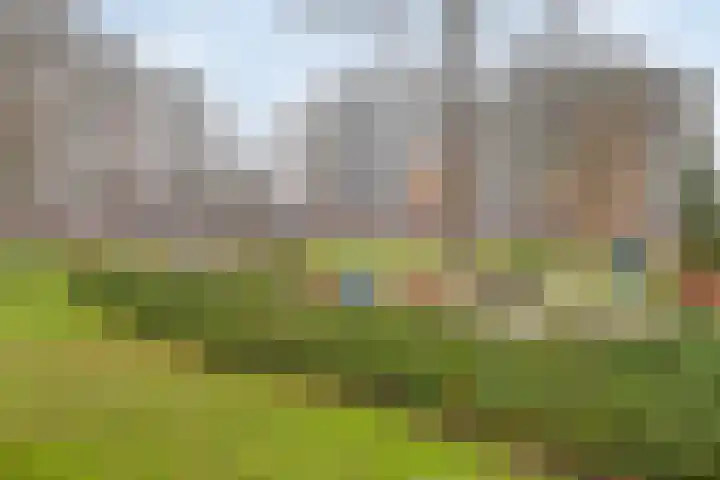 Valeriusrondeel 143 Capelle aan den IJssel thumbnail 14