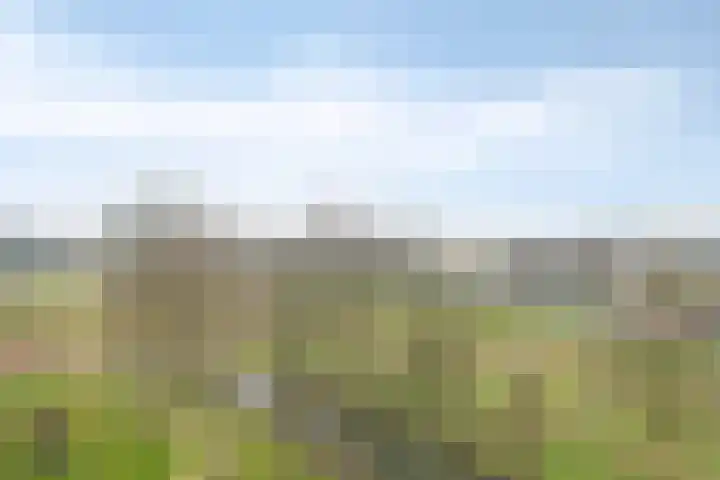 Valeriusrondeel 143 Capelle aan den IJssel thumbnail 15