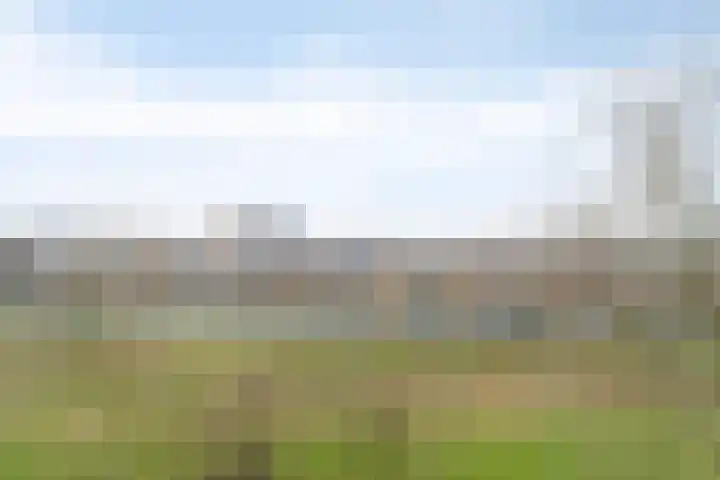 Valeriusrondeel 143 Capelle aan den IJssel thumbnail 16