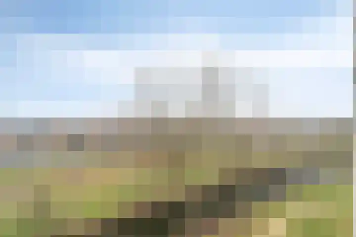 Valeriusrondeel 143 Capelle aan den IJssel thumbnail 17
