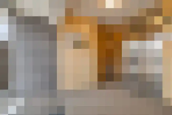 Valeriusrondeel 143 Capelle aan den IJssel thumbnail 6