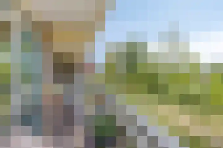 Valeriusrondeel 168 Capelle aan den IJssel thumbnail 31