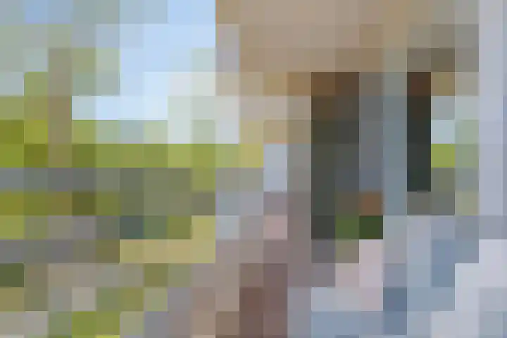 Valeriusrondeel 168 Capelle aan den IJssel thumbnail 33