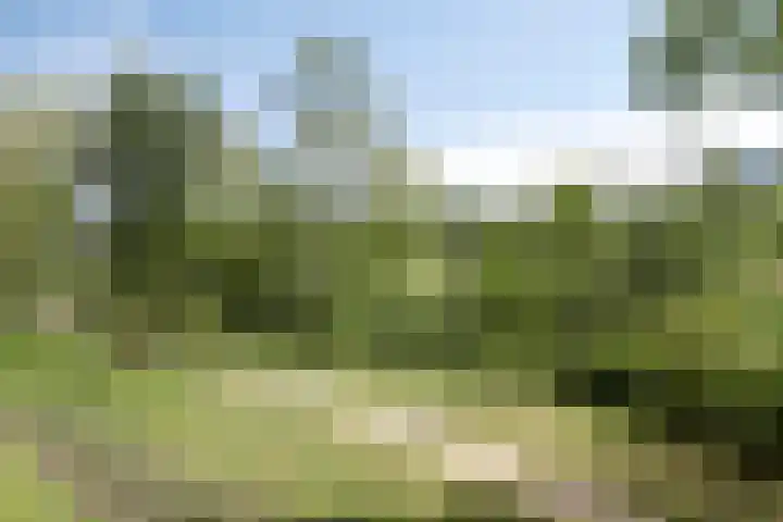 Valeriusrondeel 168 Capelle aan den IJssel thumbnail 34