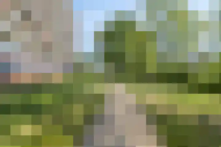 Valeriusrondeel 168 Capelle aan den IJssel thumbnail 35