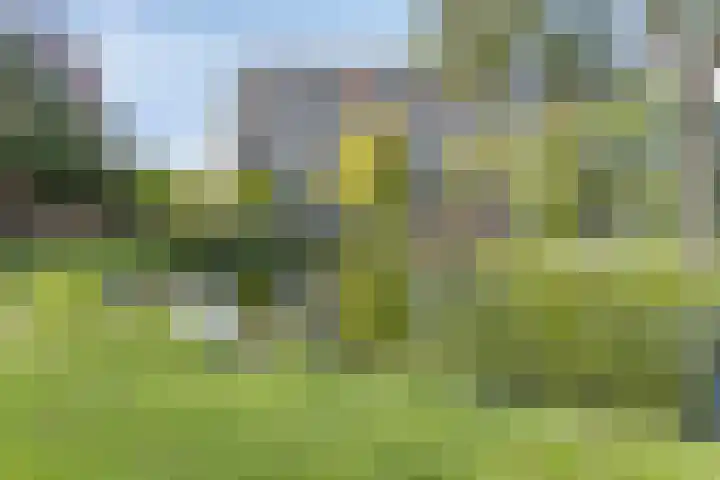Valeriusrondeel 168 Capelle aan den IJssel thumbnail 37