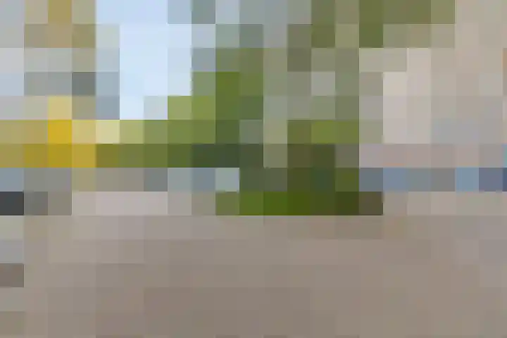 Valeriusrondeel 168 Capelle aan den IJssel thumbnail 39
