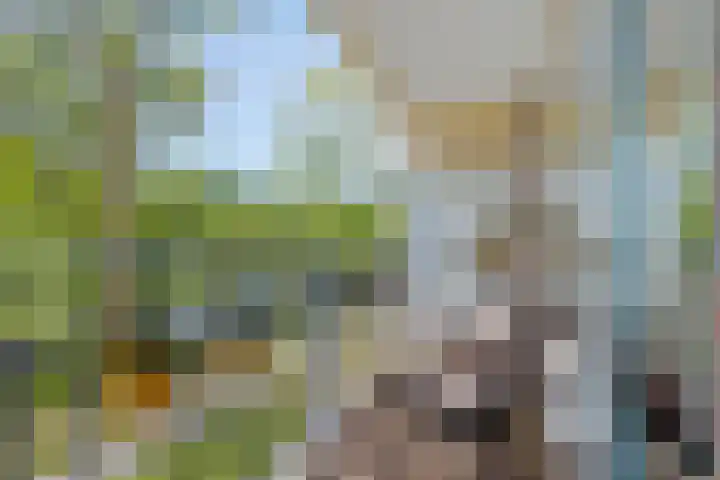 Valeriusrondeel 168 Capelle aan den IJssel thumbnail 4