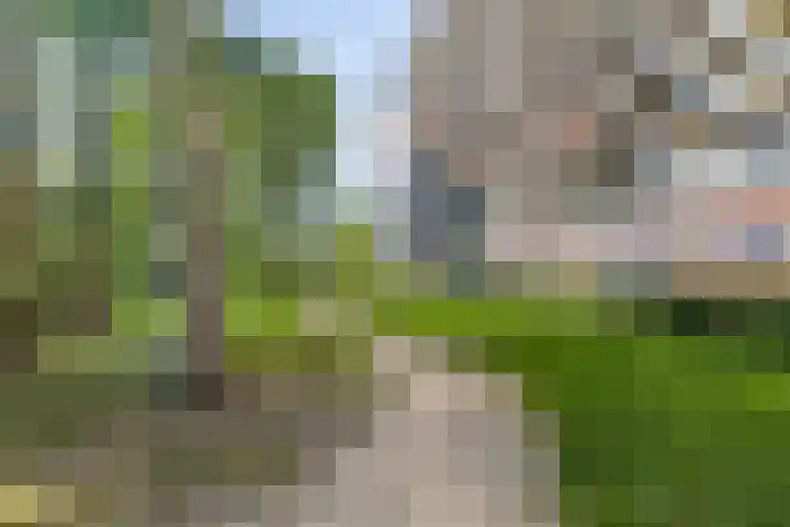 Valeriusrondeel 168 Capelle aan den IJssel thumbnail 40