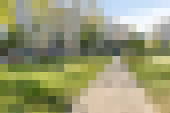 Valeriusrondeel 168 Capelle aan den IJssel thumbnail 41