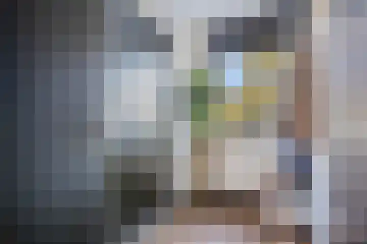 Valeriusrondeel 168 Capelle aan den IJssel thumbnail 8