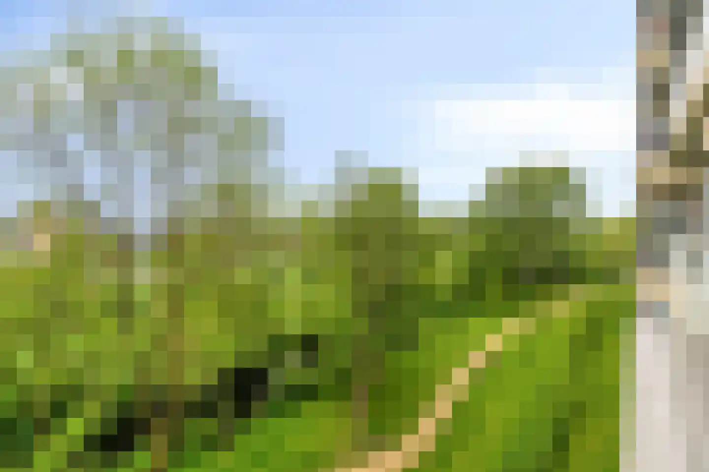 Valeriusrondeel 18 Capelle aan den IJssel thumbnail 10