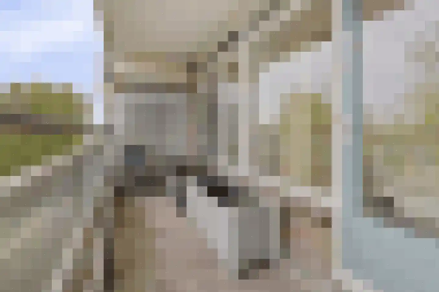 Valeriusrondeel 18 Capelle aan den IJssel thumbnail 8
