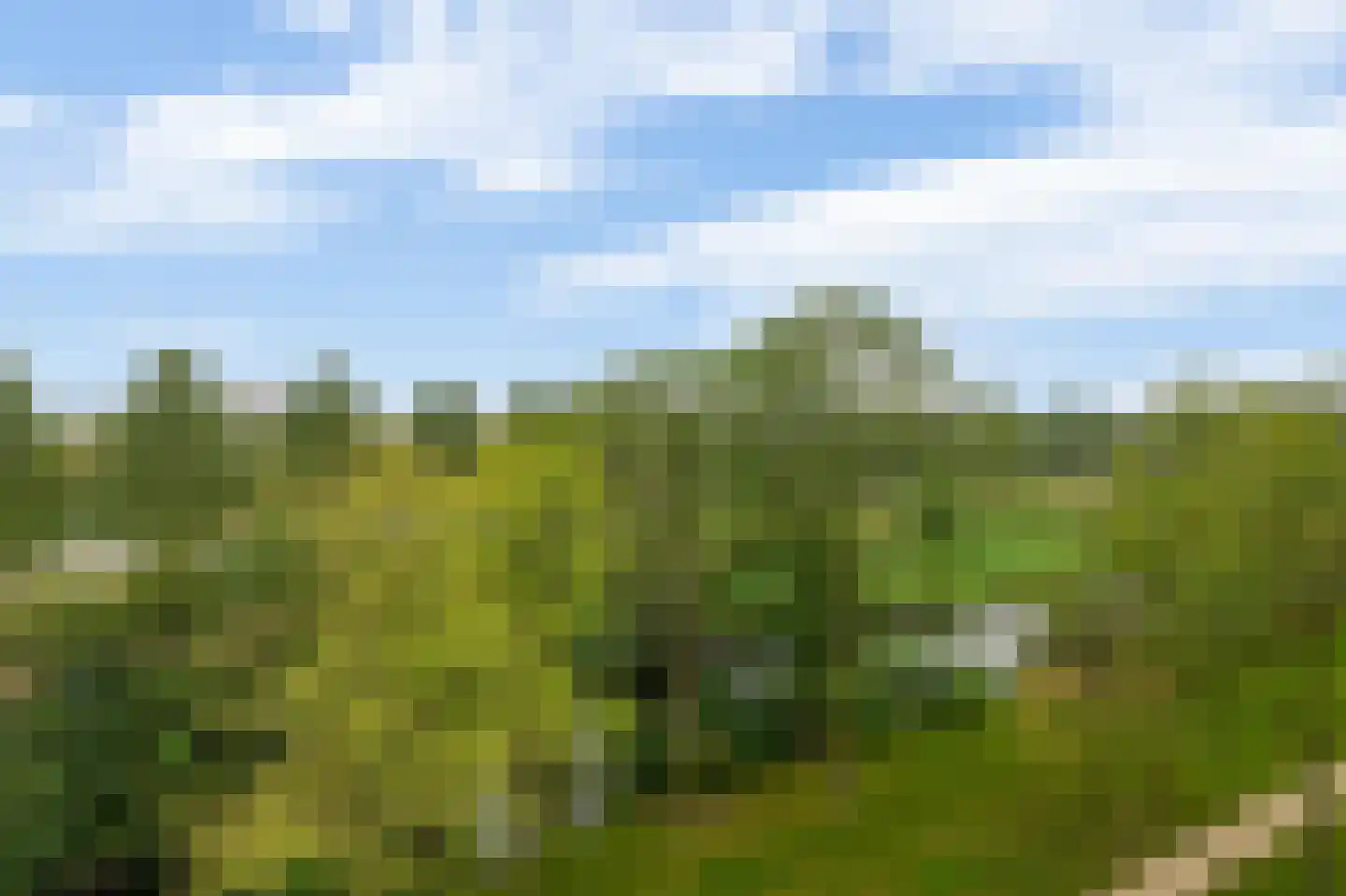 Valeriusrondeel 222 Capelle aan den IJssel thumbnail 22