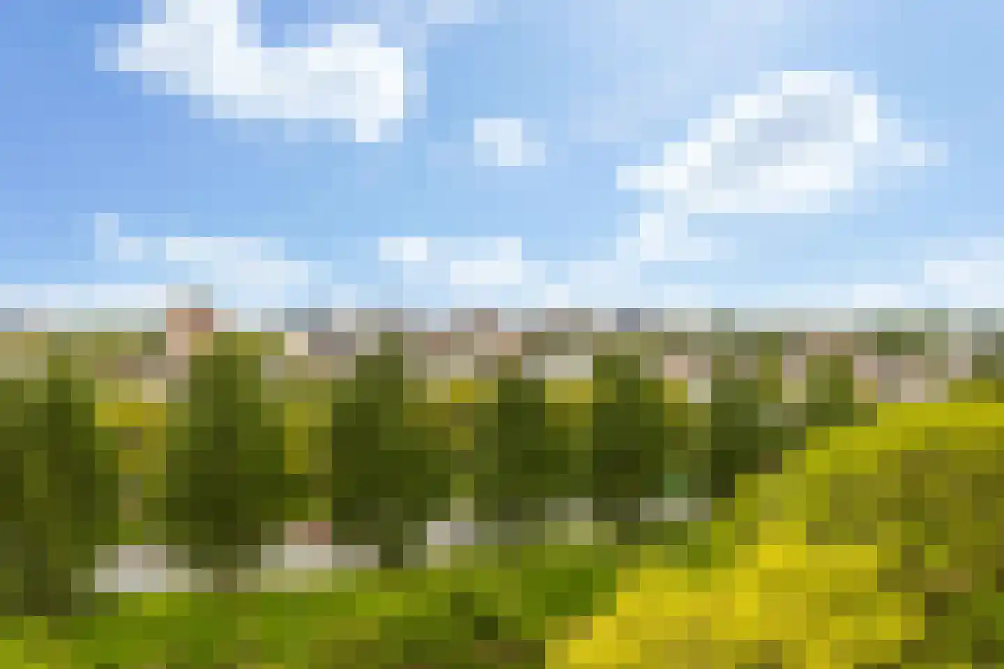 Valeriusrondeel 227 Capelle aan den IJssel thumbnail 32
