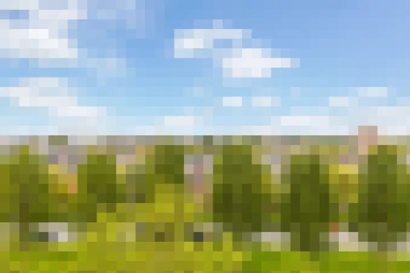 Valeriusrondeel 227 Capelle aan den IJssel thumbnail 33