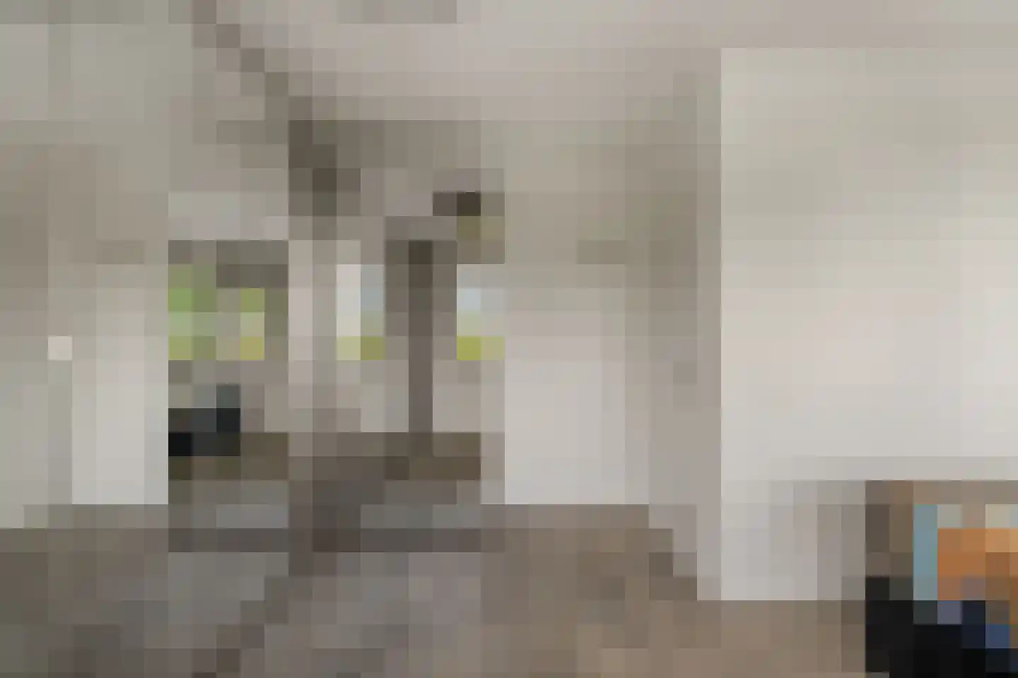 Valeriusrondeel 258 Capelle aan den IJssel thumbnail 16