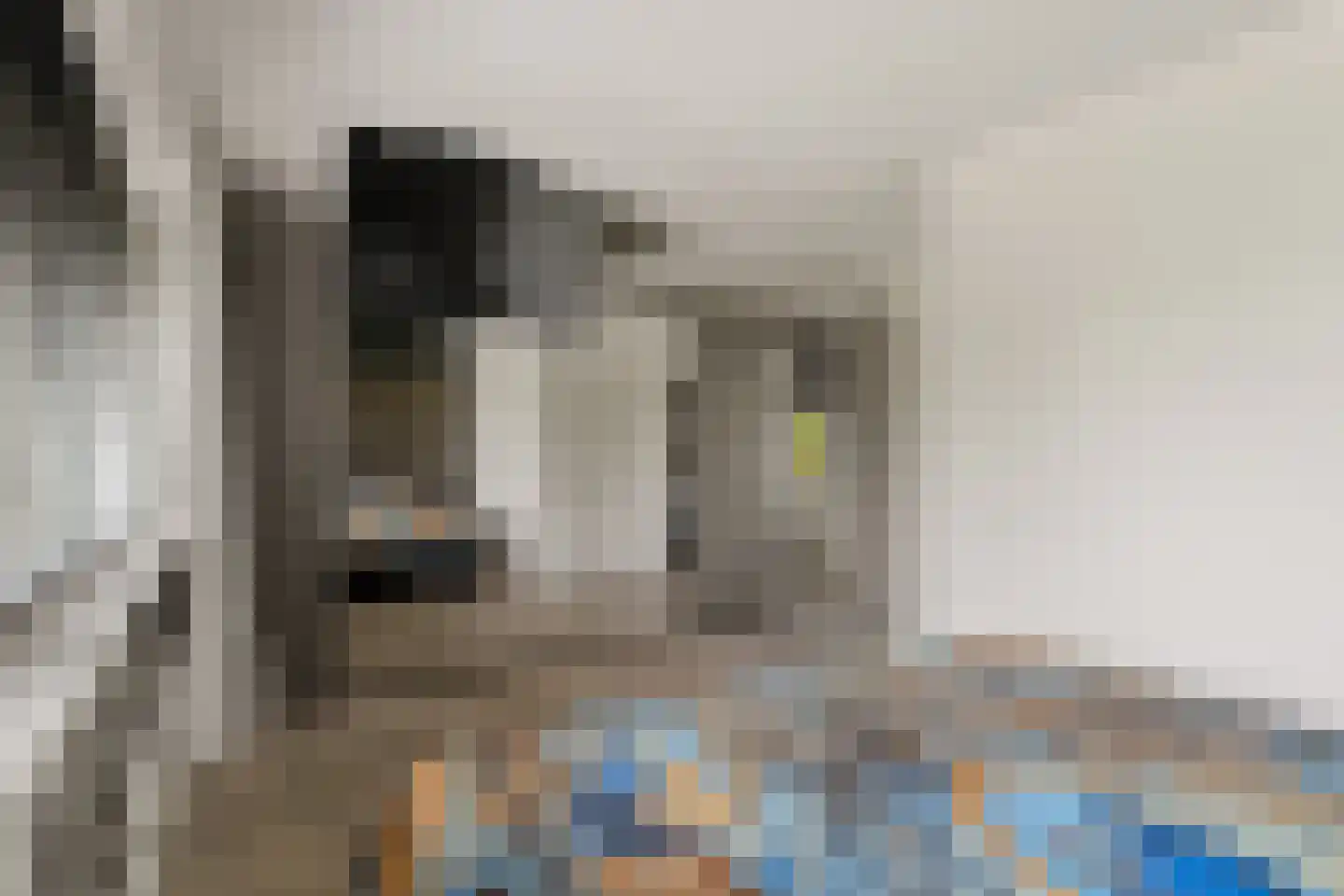 Valeriusrondeel 258 Capelle aan den IJssel thumbnail 17