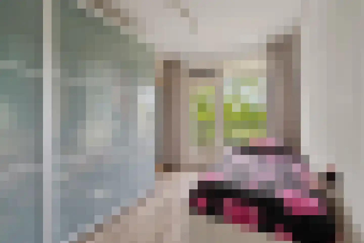 Valeriusrondeel 258 Capelle aan den IJssel thumbnail 18