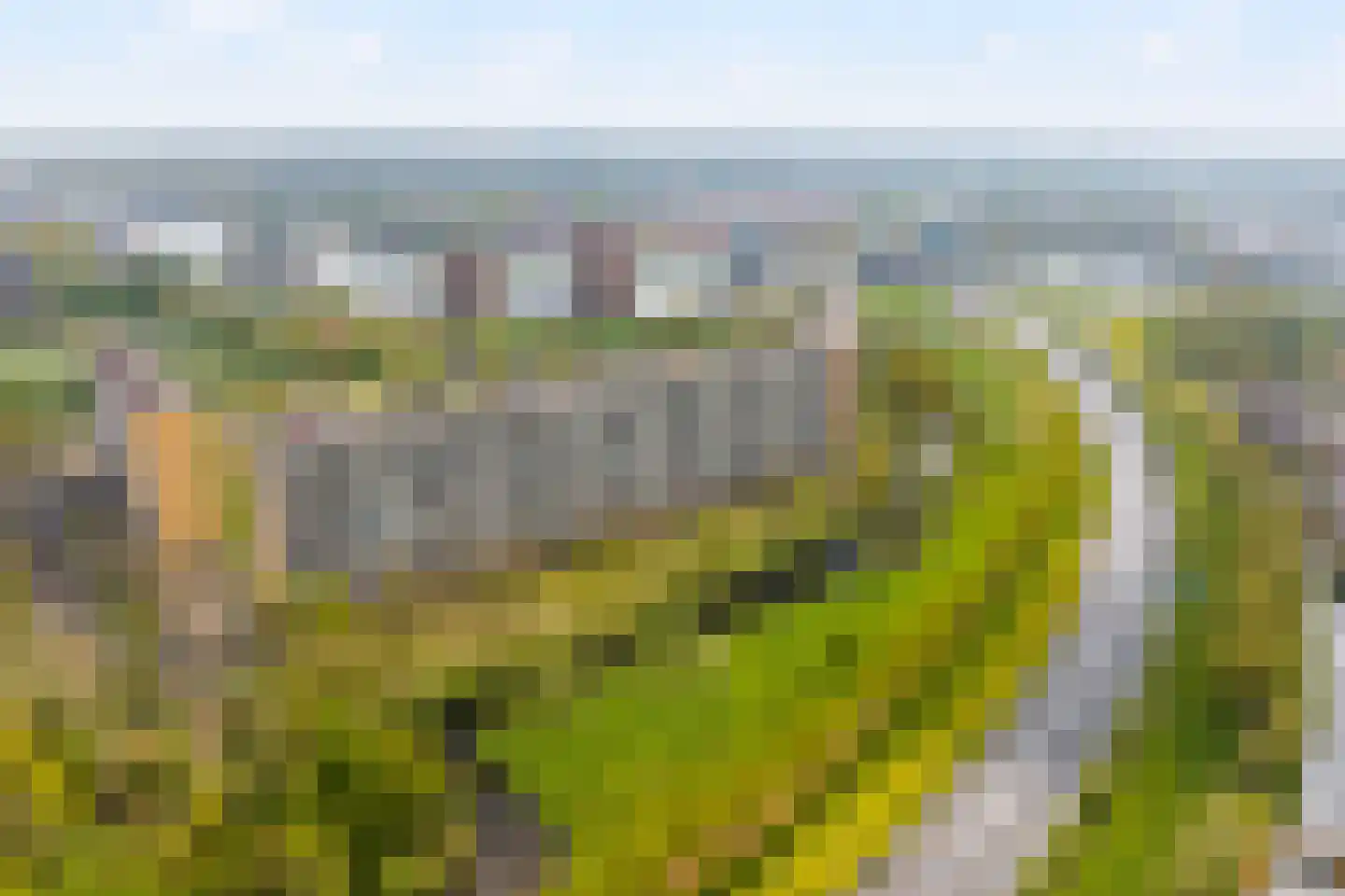 Valeriusrondeel 258 Capelle aan den IJssel thumbnail 24