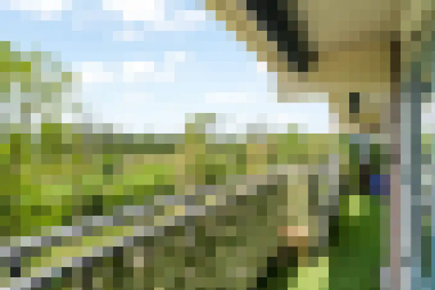 Valeriusrondeel 258 Capelle aan den IJssel thumbnail 4