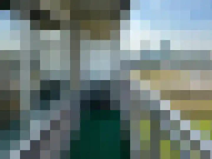 Valeriusrondeel 26 Capelle aan den IJssel thumbnail 10