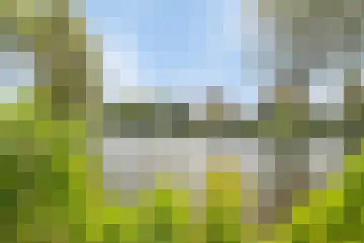 Valeriusrondeel 26 Capelle aan den IJssel thumbnail 16