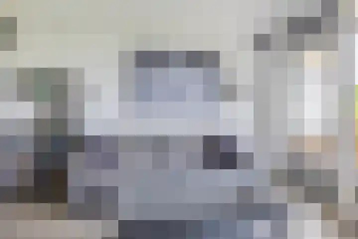 Valeriusrondeel 260 Capelle aan den IJssel thumbnail 16