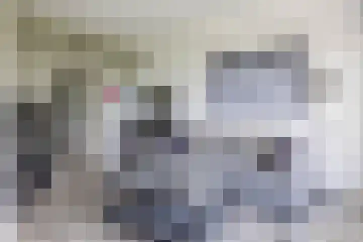 Valeriusrondeel 260 Capelle aan den IJssel thumbnail 17