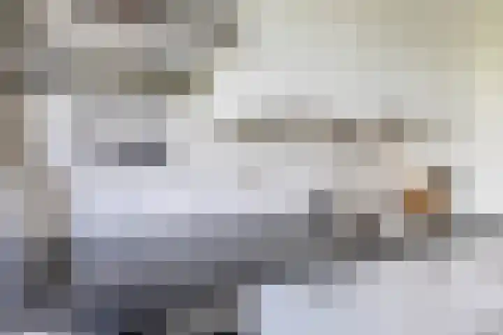 Valeriusrondeel 260 Capelle aan den IJssel thumbnail 21