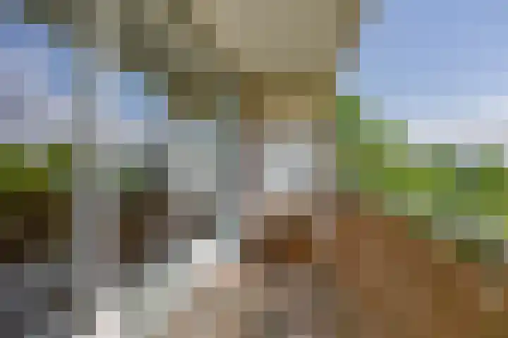 Valeriusrondeel 260 Capelle aan den IJssel thumbnail 24