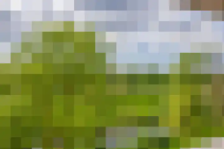Valeriusrondeel 260 Capelle aan den IJssel thumbnail 32