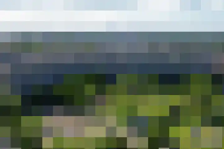 Valeriusrondeel 260 Capelle aan den IJssel thumbnail 37