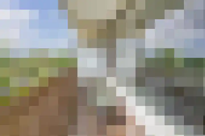 Valeriusrondeel 260 Capelle aan den IJssel thumbnail 4