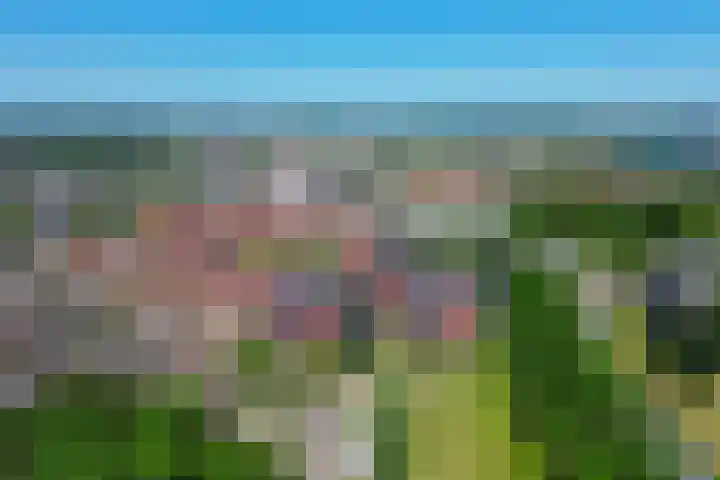 Valeriusrondeel 260 Capelle aan den IJssel thumbnail 42