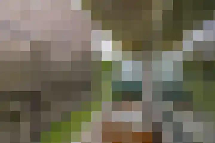 Valeriusrondeel 292 Capelle aan den IJssel thumbnail 18
