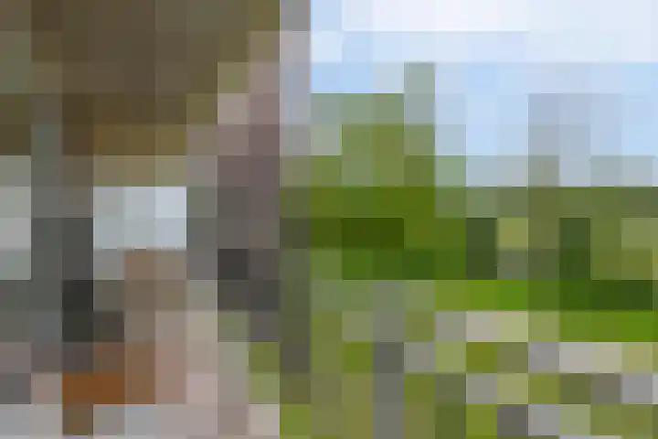 Valeriusrondeel 292 Capelle aan den IJssel thumbnail 19