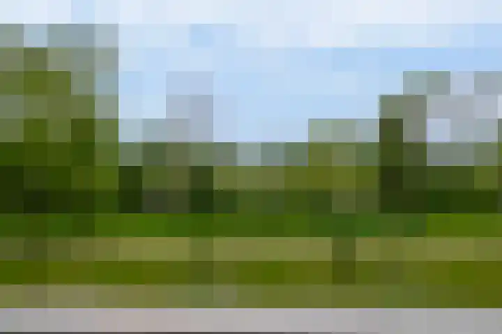 Valeriusrondeel 292 Capelle aan den IJssel thumbnail 20