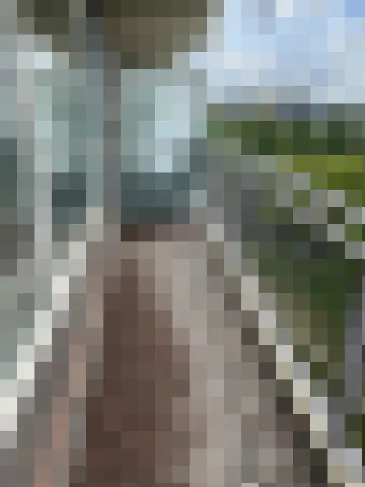Valeriusrondeel 310 Capelle aan den IJssel thumbnail 11