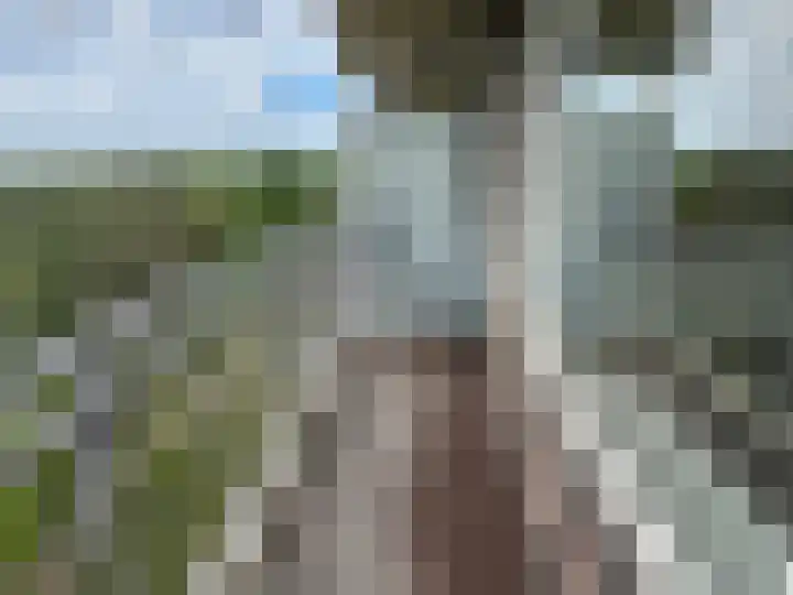 Valeriusrondeel 310 Capelle aan den IJssel thumbnail 12